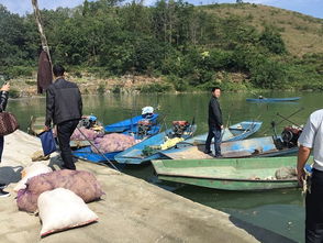 貴州安順市畜牧獸醫局開展漁業船舶安全生產隱患大檢查 筑牢畜牧漁業飼料銷售安全防線